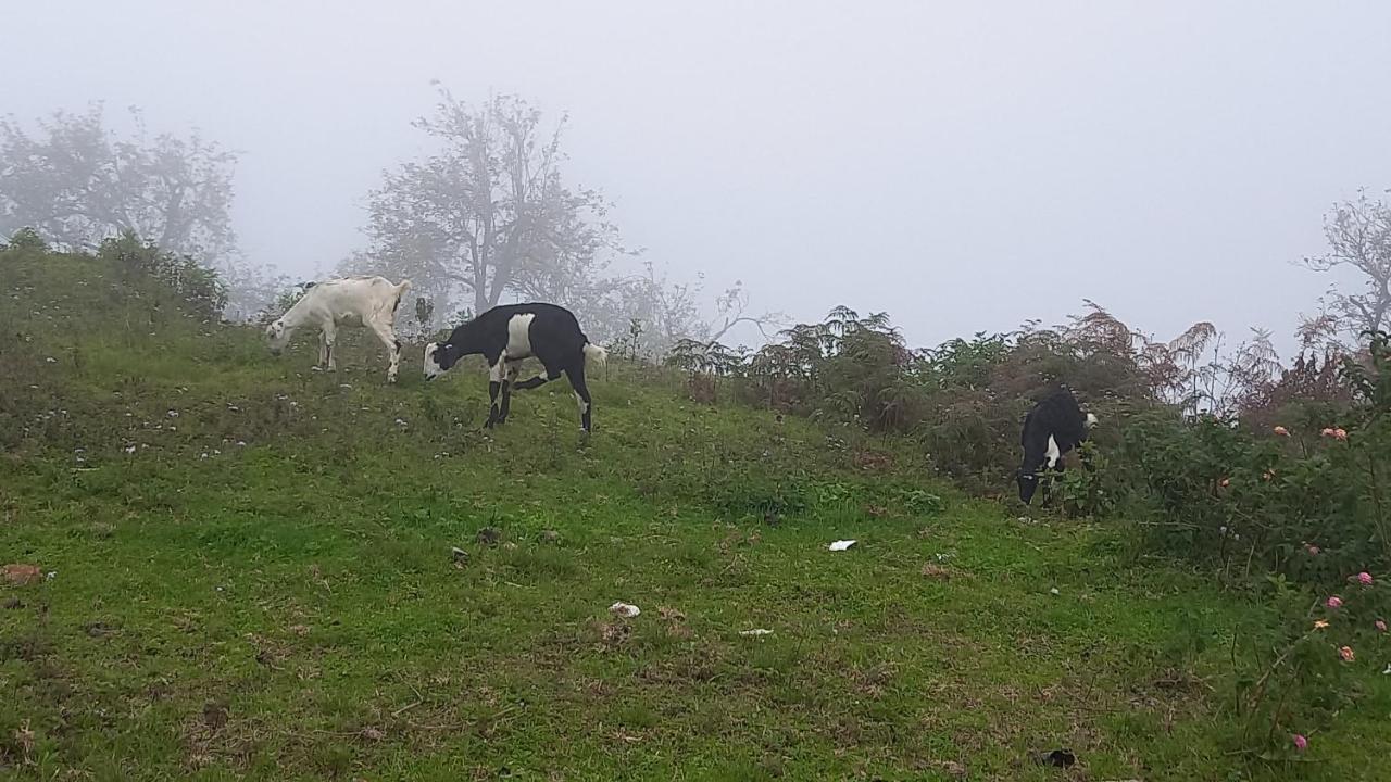 Salora Kodai Kodaikanal Ngoại thất bức ảnh