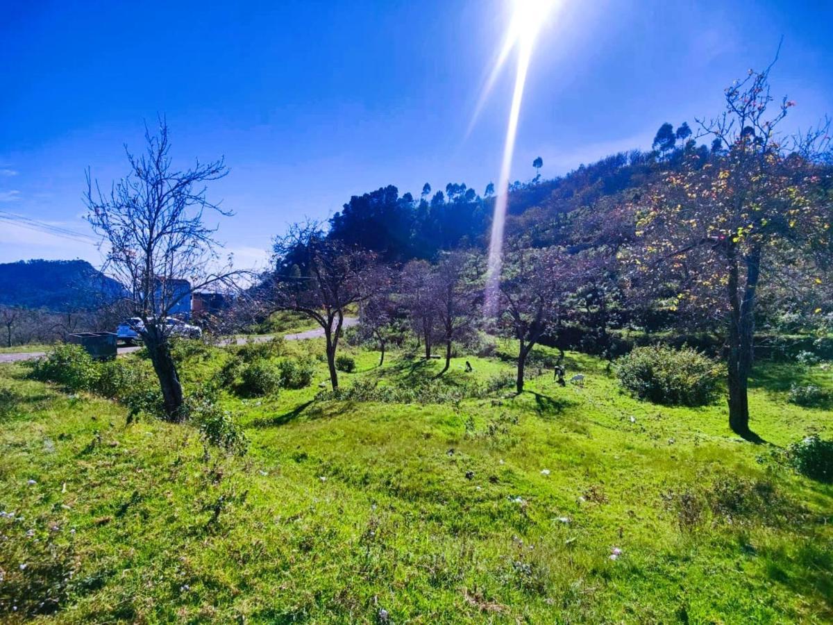 Salora Kodai Kodaikanal Ngoại thất bức ảnh