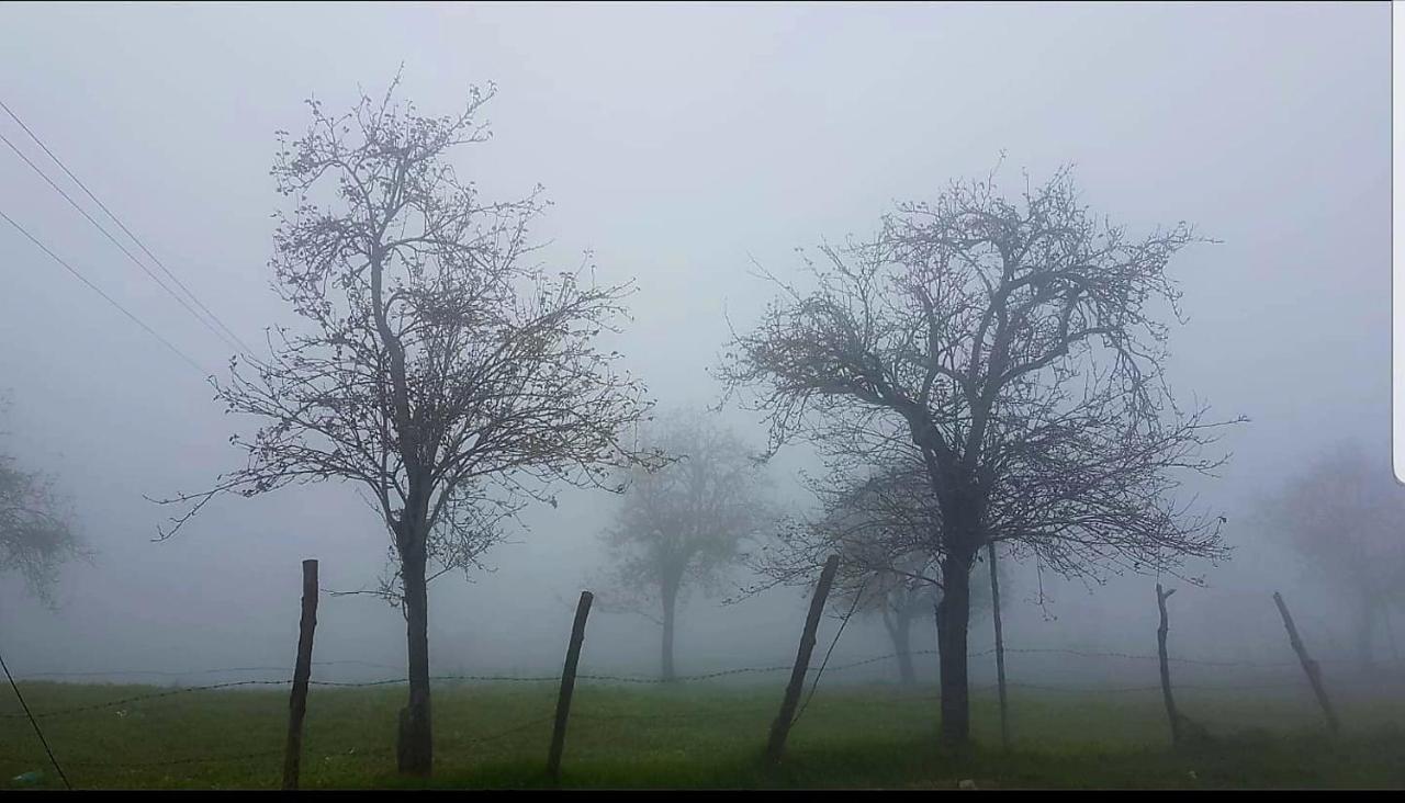 Salora Kodai Kodaikanal Ngoại thất bức ảnh